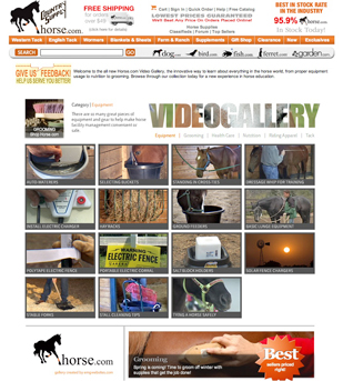 website design